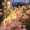 m_252mr