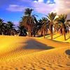 0658419049ammar