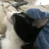kitanabanana1