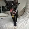 fjdsfjjfj