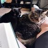 cat_mama68