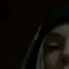 dudesonia