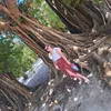 andreea.neculaai