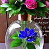 userbq6e2msu63