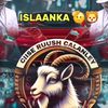 janankacaasumada