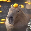 capybara19_