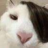 nguoidepbuon123