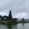 fattusudhii_