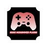 noahplaygamez
