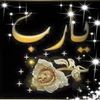 user029399125