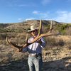 rockinhcattle