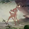 kimi3chi