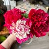 ccreative_rachel