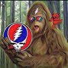 deadtothehead