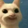 daonlyholyblobfish