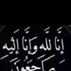 elia_mohammad