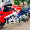 sharazuri14