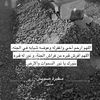 alshammeri909hamad