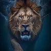 الاسد