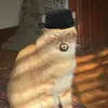 jackishisnamewasjeff