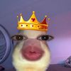 sndyy4u