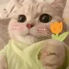 kim24032024