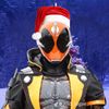 hrsfox30