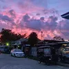 bonieltonirose1