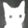 texkosta