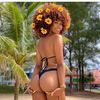 phiia_24