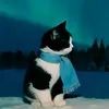 thomy_2385