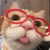 mdaaaaa34_