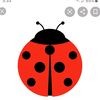 lladybug40