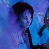 willowofthewisq