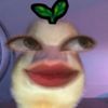 yabiuuuu