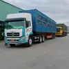 dinhchifc76