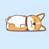 user177594594