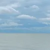 tuyh2015