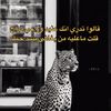 خالد 🫀 .