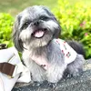 beautyandfurfriends