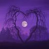 astrology_stars8