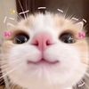 pwinsaa_07