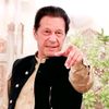 syedwajihshah804