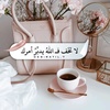 zooz_203