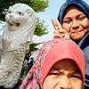 faziltarifaz