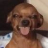 feliciaf3li