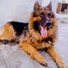 smallhunter08