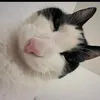 olofisto