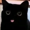 lae_niki
