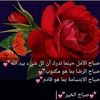 awatefabdelaziz21